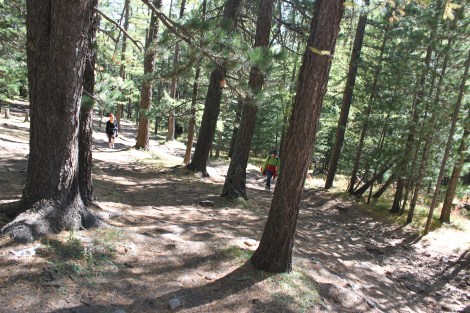 The climb to Tovkhon Khiid .. all uphill .. phew !
