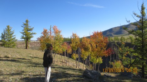 The beautiful trees surrounding the gorge