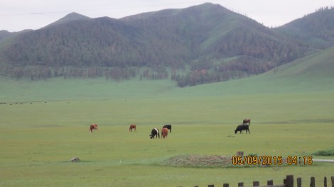 This is the view we woke up to .. its not a painting, but Nature in all its glory