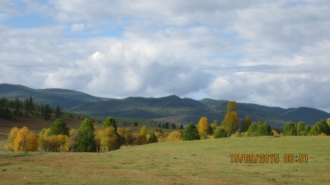 Nomadic family location