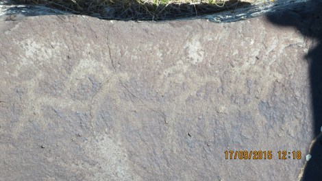 Petroglyphs - rock paintings that are found in the Orkhon Valley