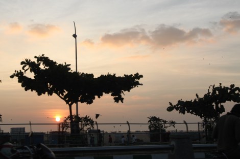 thumb_IMG_6565_1024