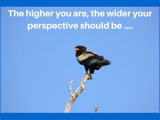 perspective