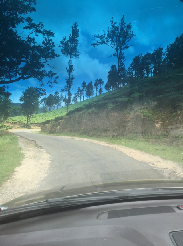Tea plantations on the way to Munnar ... stunning