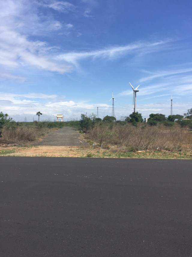 Windmills !!