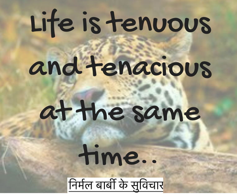 tenuous-tenacious