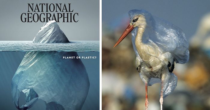 Plastic crisis