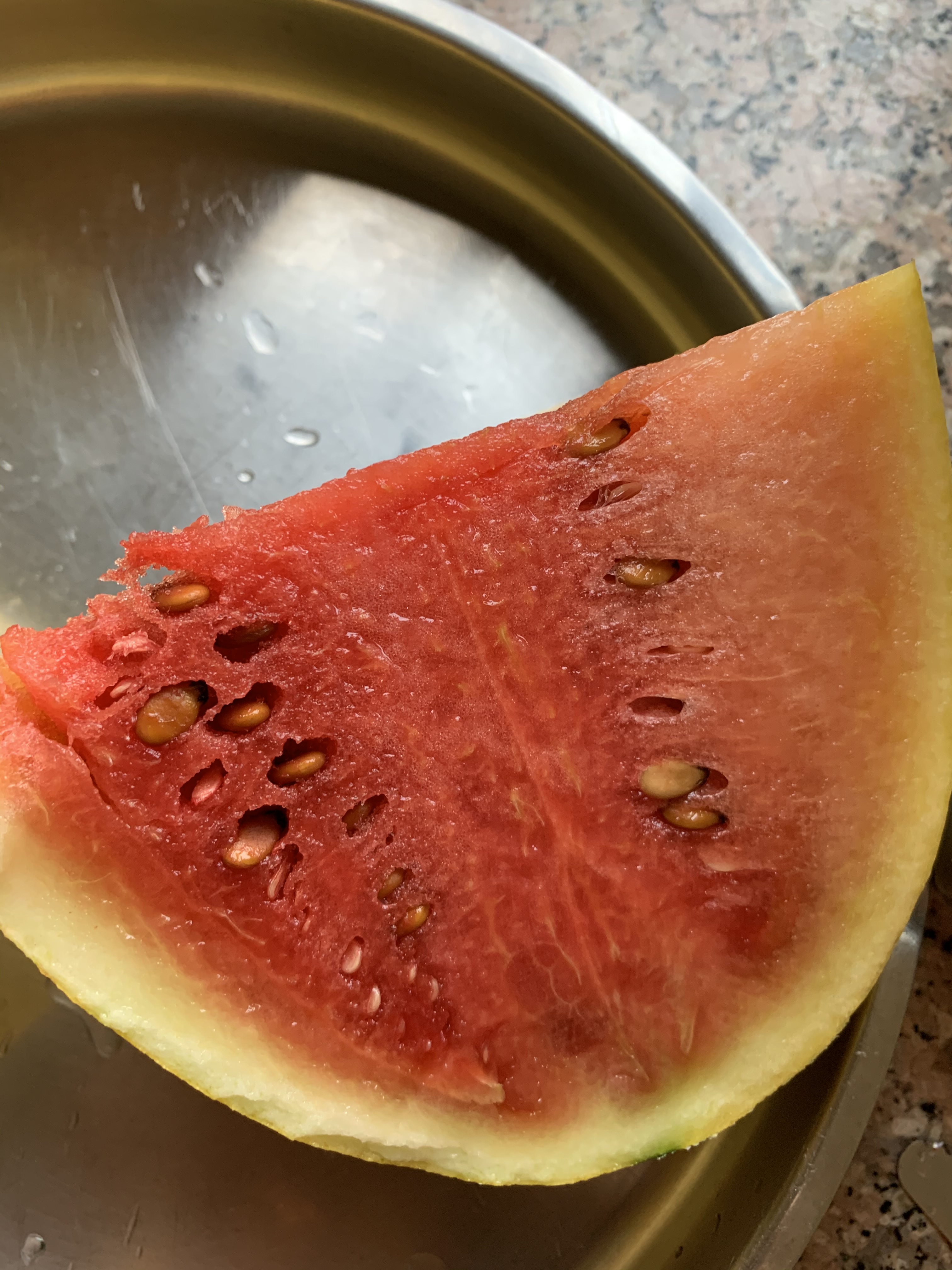 Yellow Watermelon