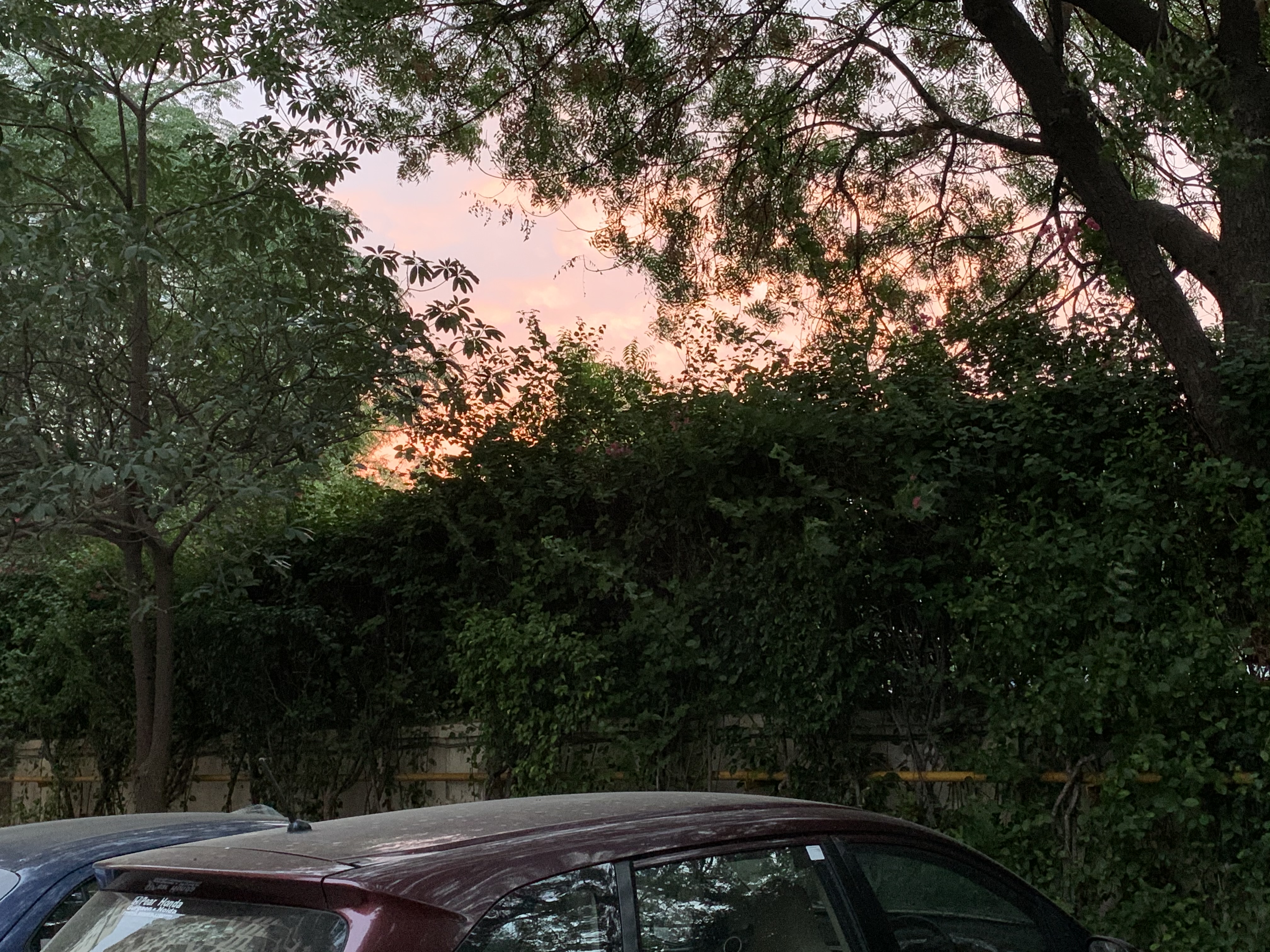 Daybreak