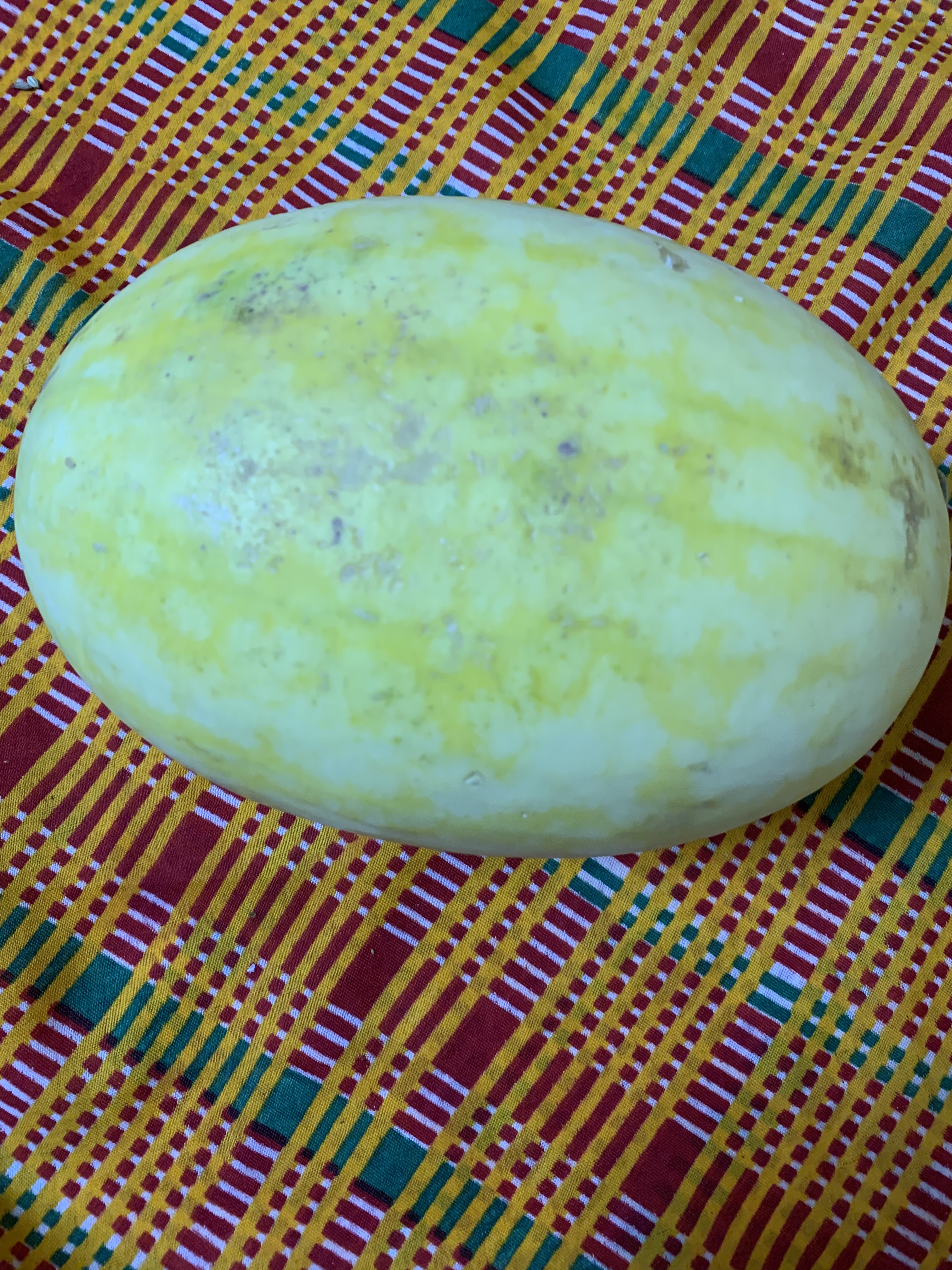 Yellow Watermelon