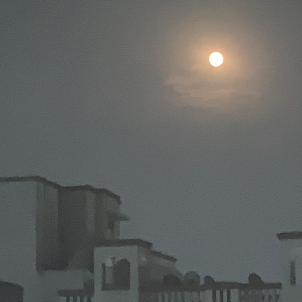 Moon