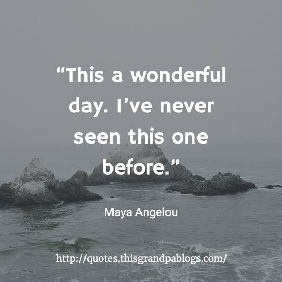 Daily Gratitude