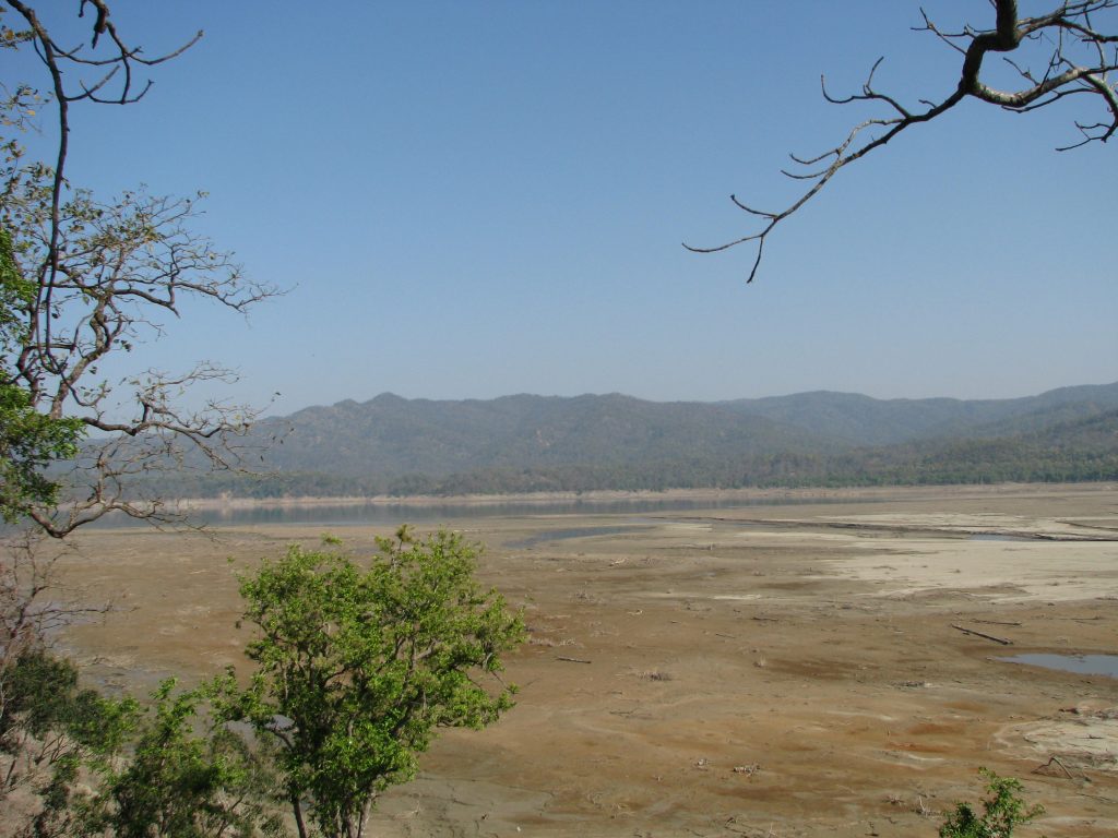 Corbett Tiger Reserve - The river