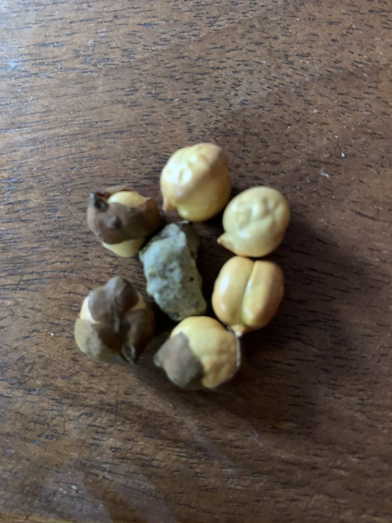 Chana Stones