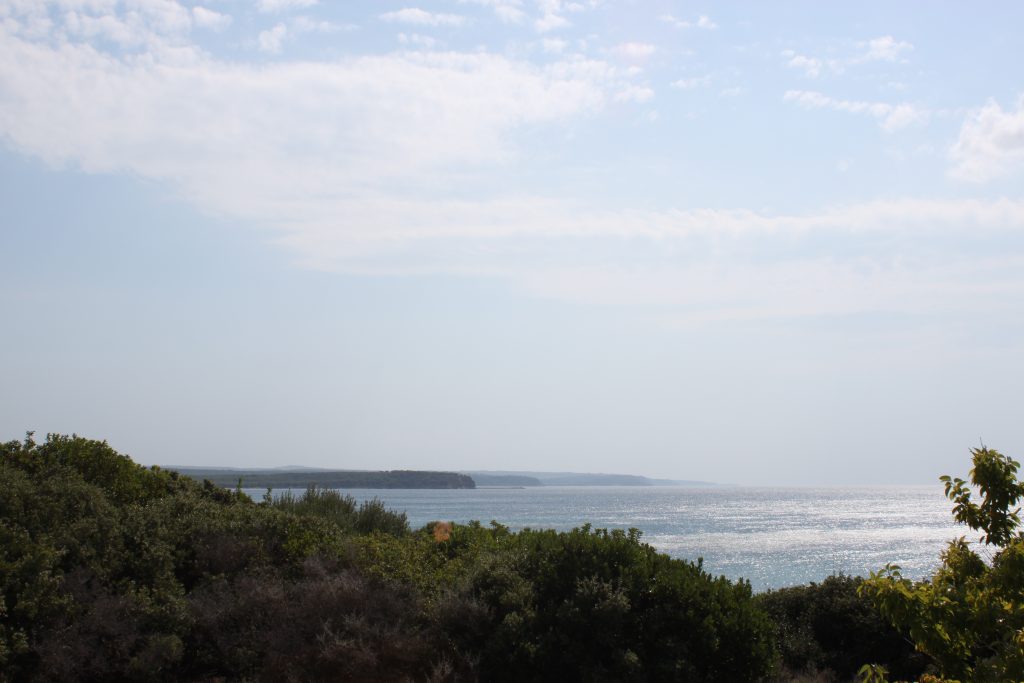 Gallipoli
