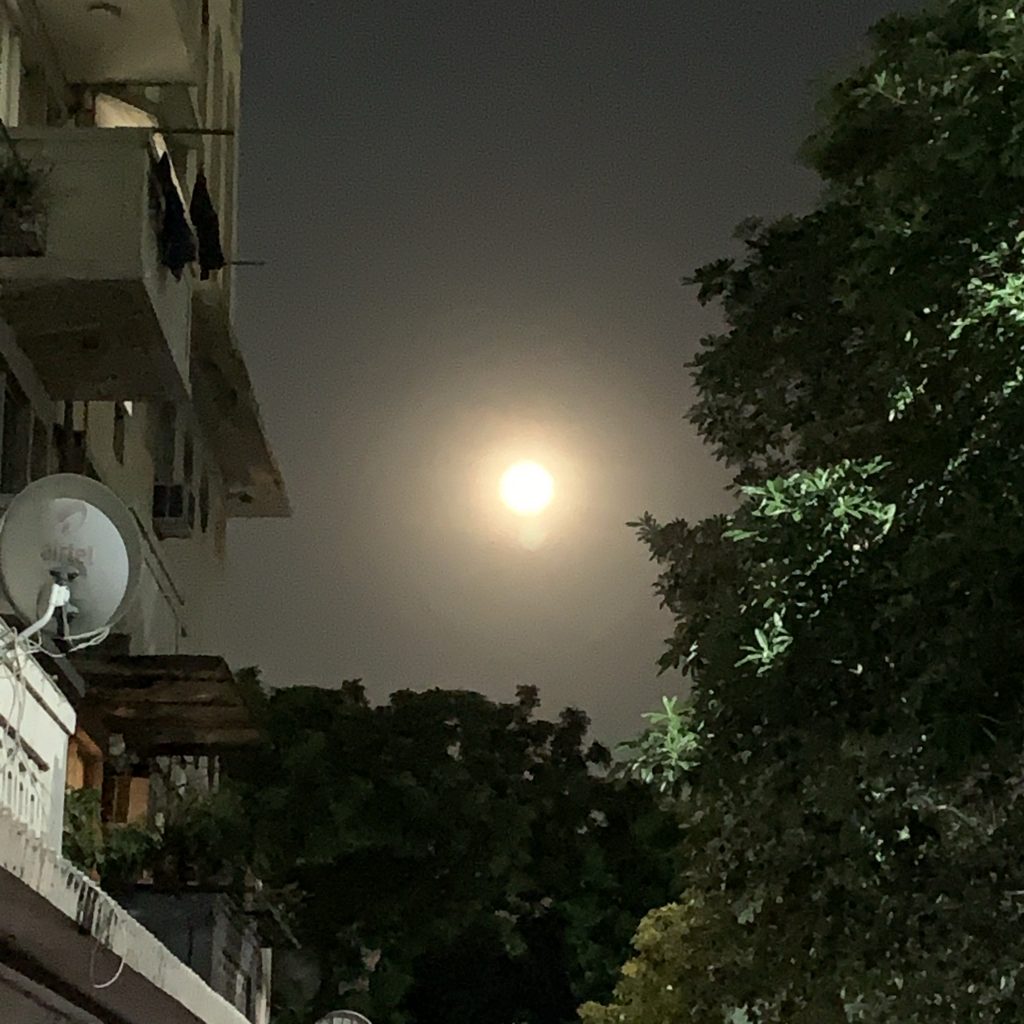 Poornima