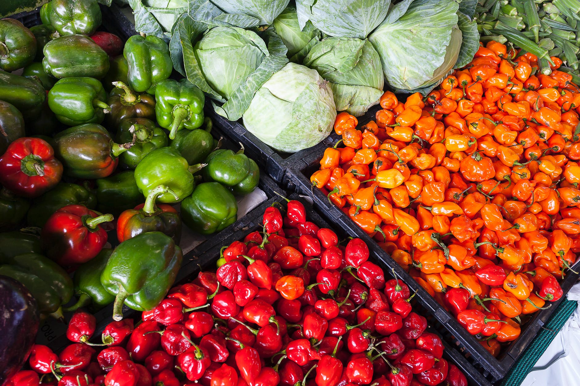 Fasting Vegetarian