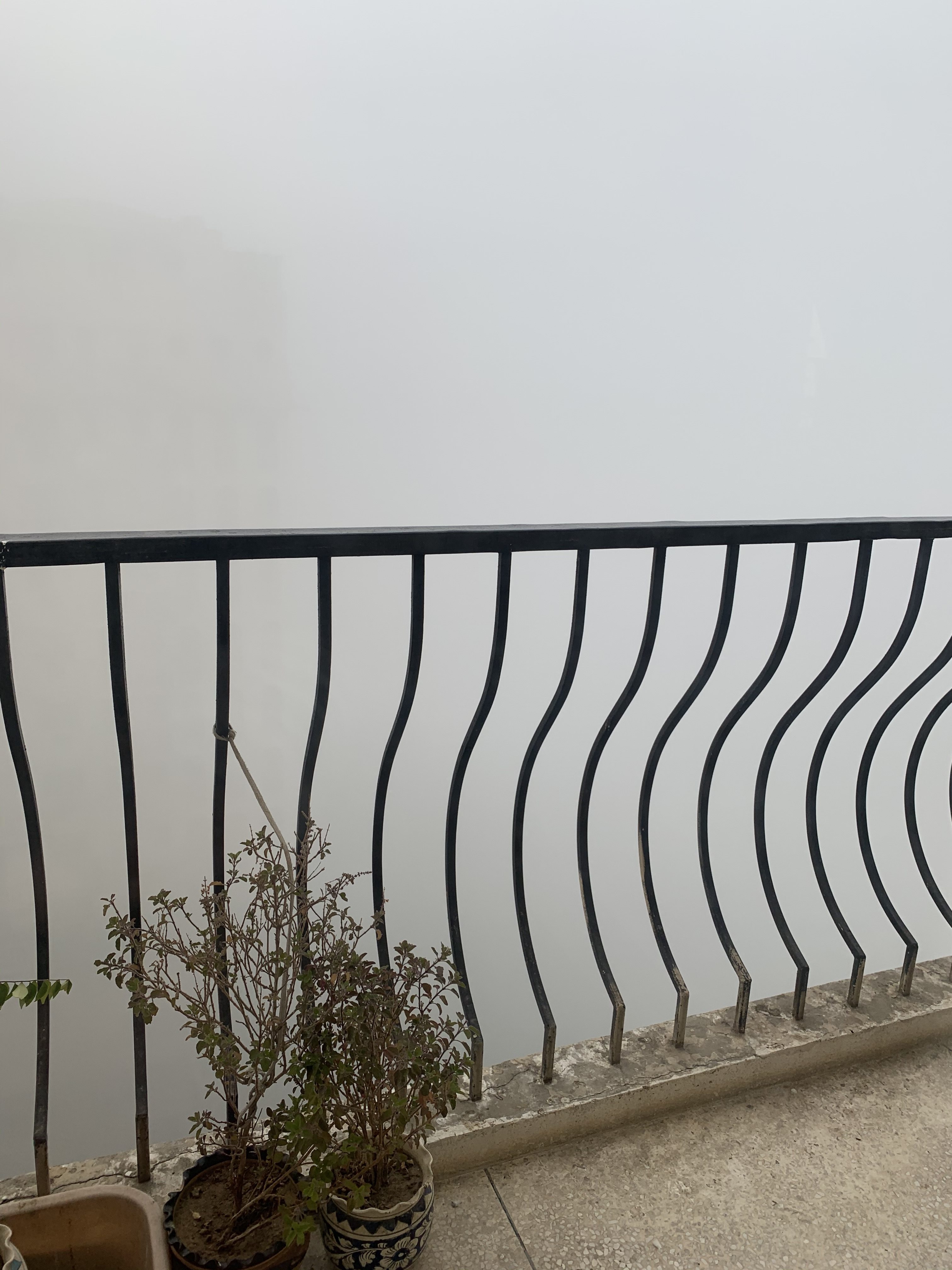 Delhi Fog
