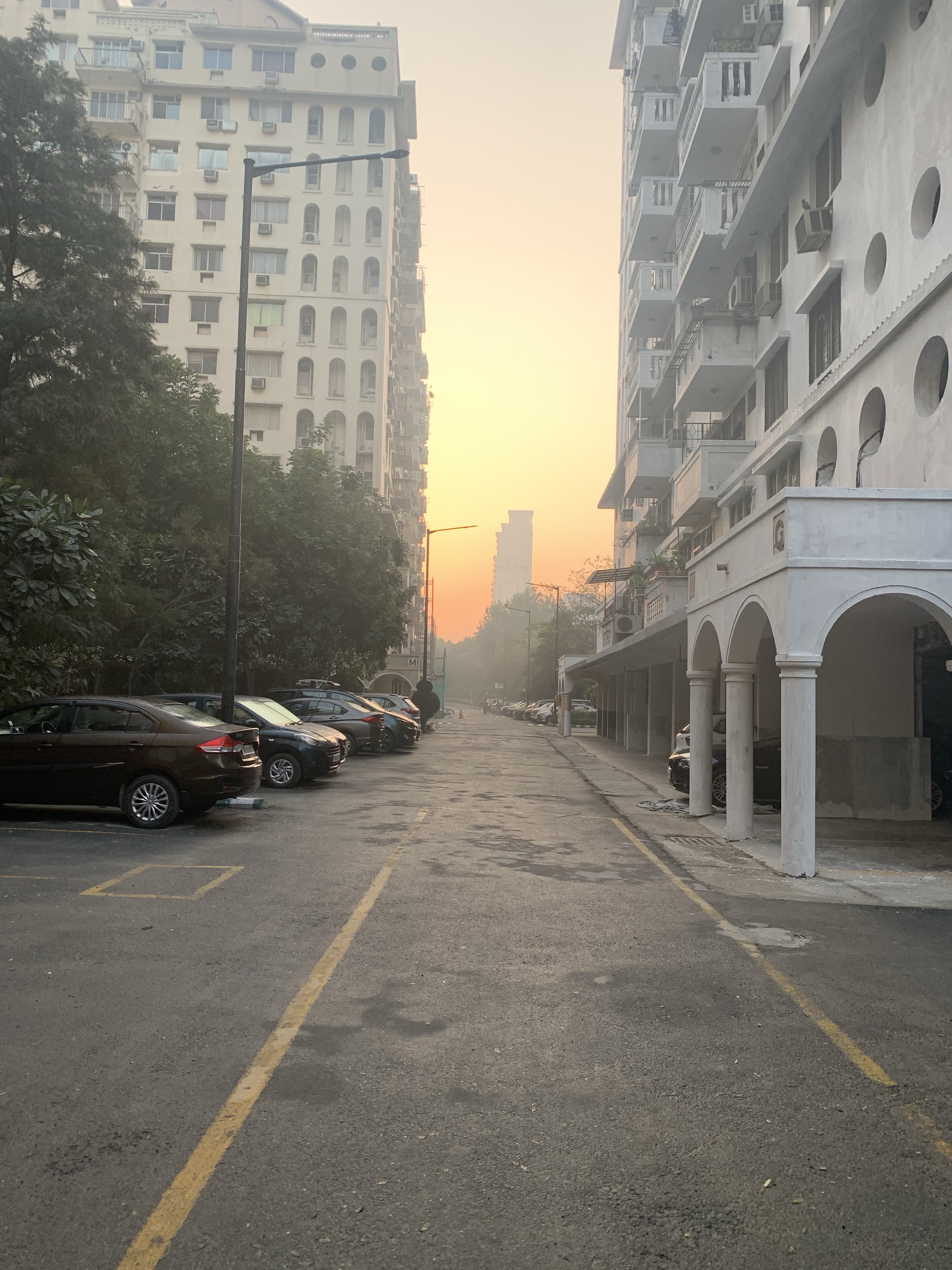 Morning - sunrise