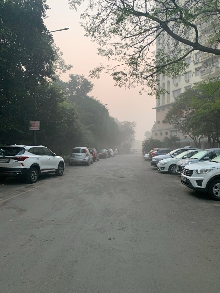 Foggy Morning