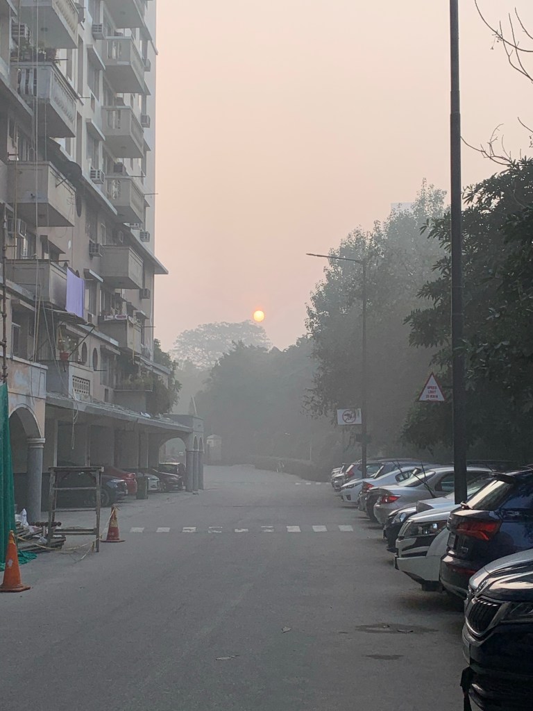 Foggy Mornings