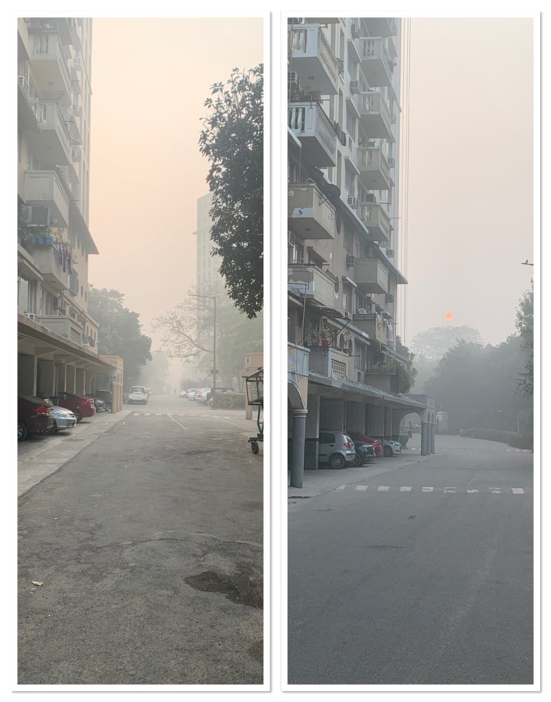 Foggy Morning