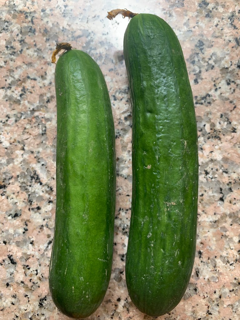 Cucumber Green