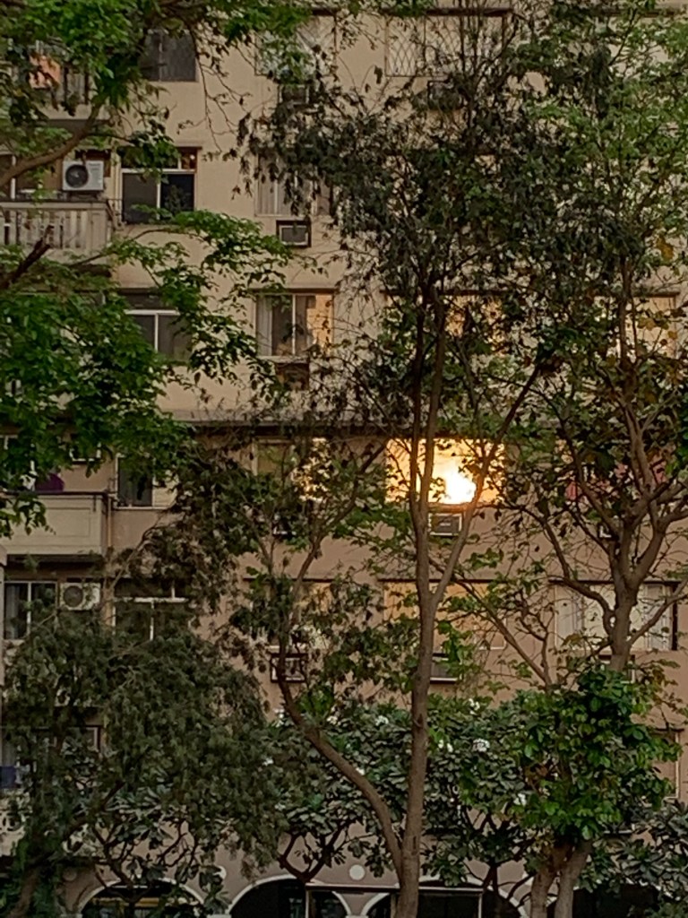 Nature - Sun