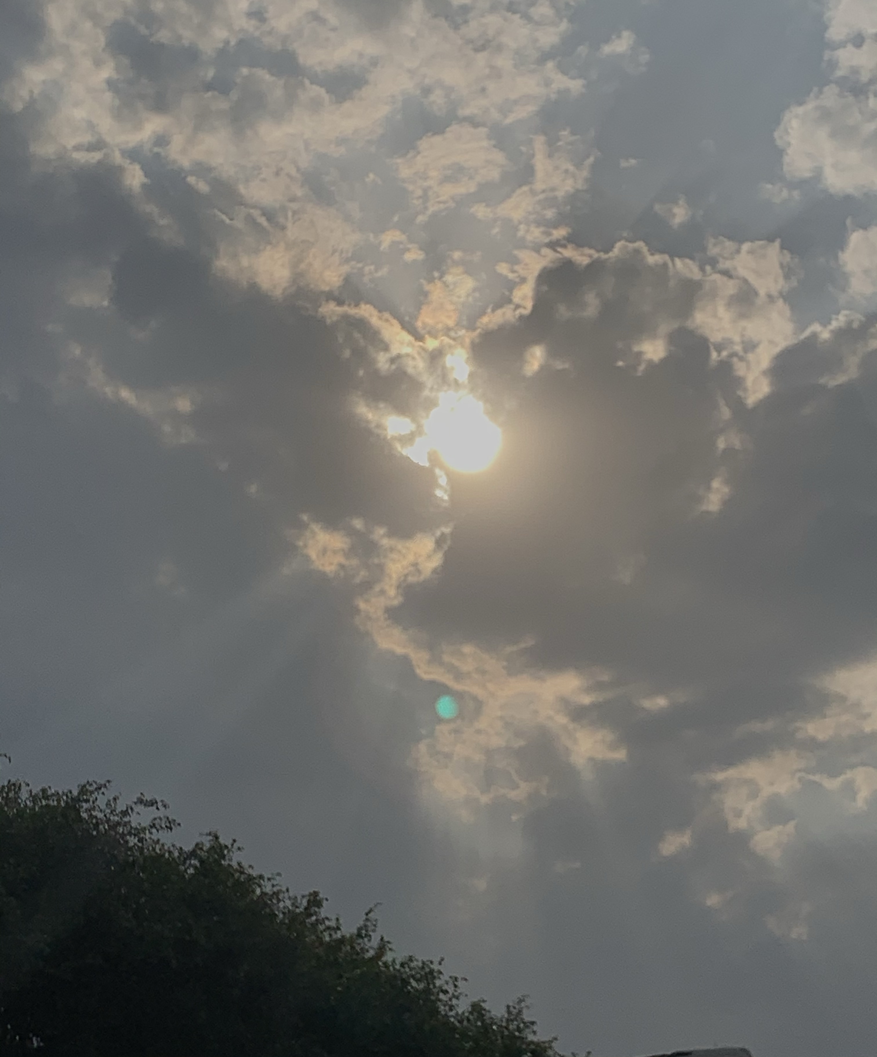 Ravivar - beautiful morning