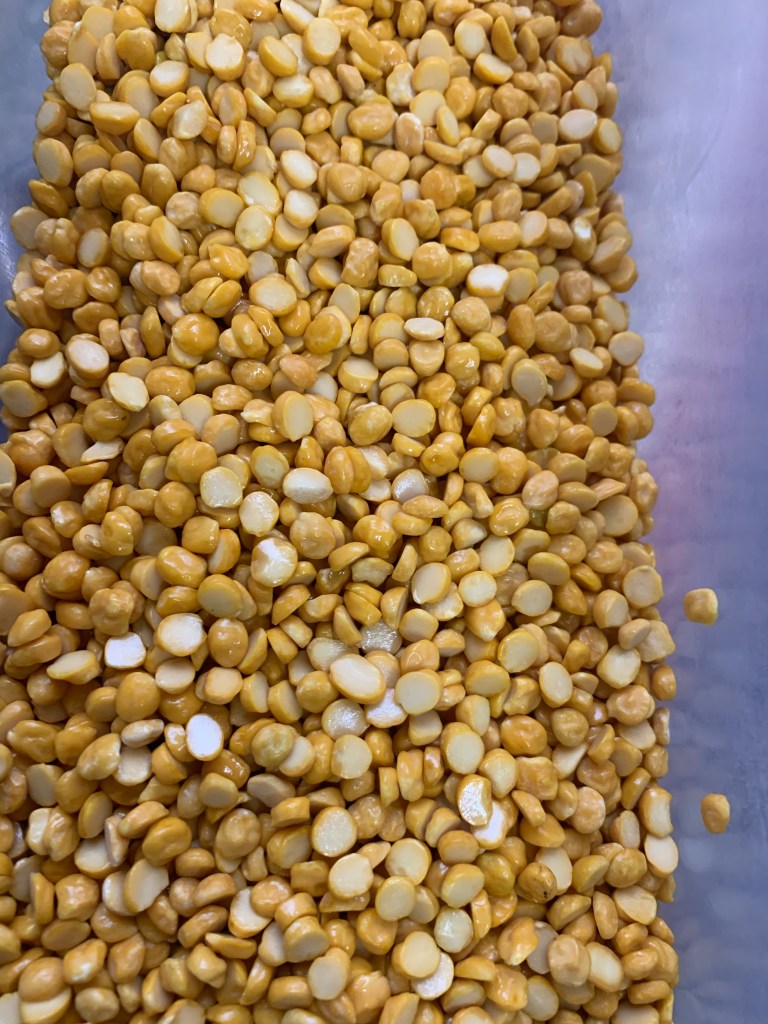 Storage pests - chana dal