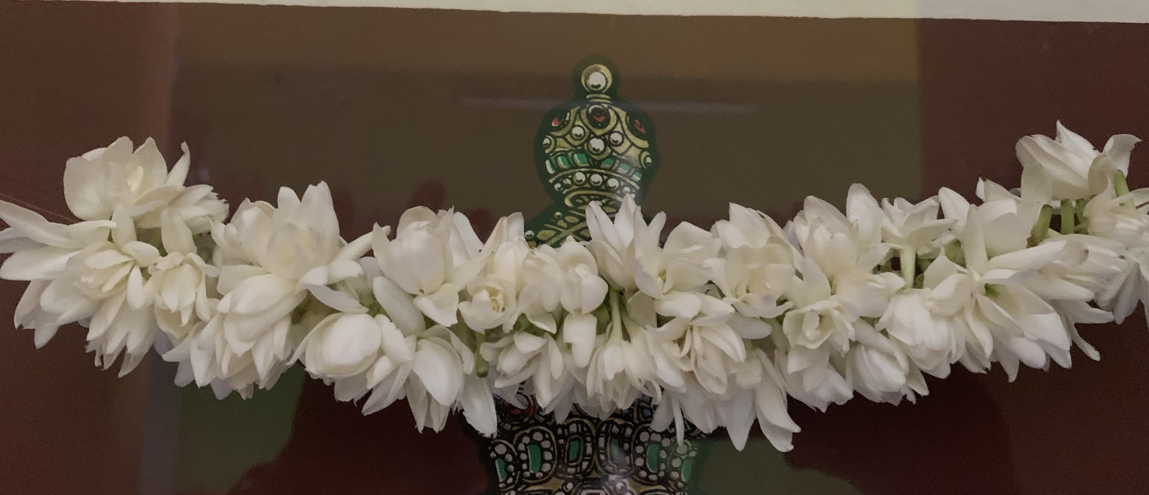 Pookutty - Jasmine flowers