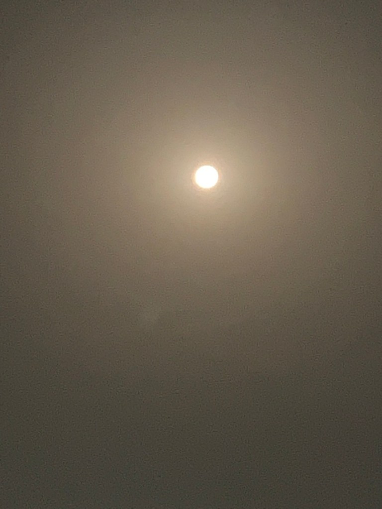 Full Moon