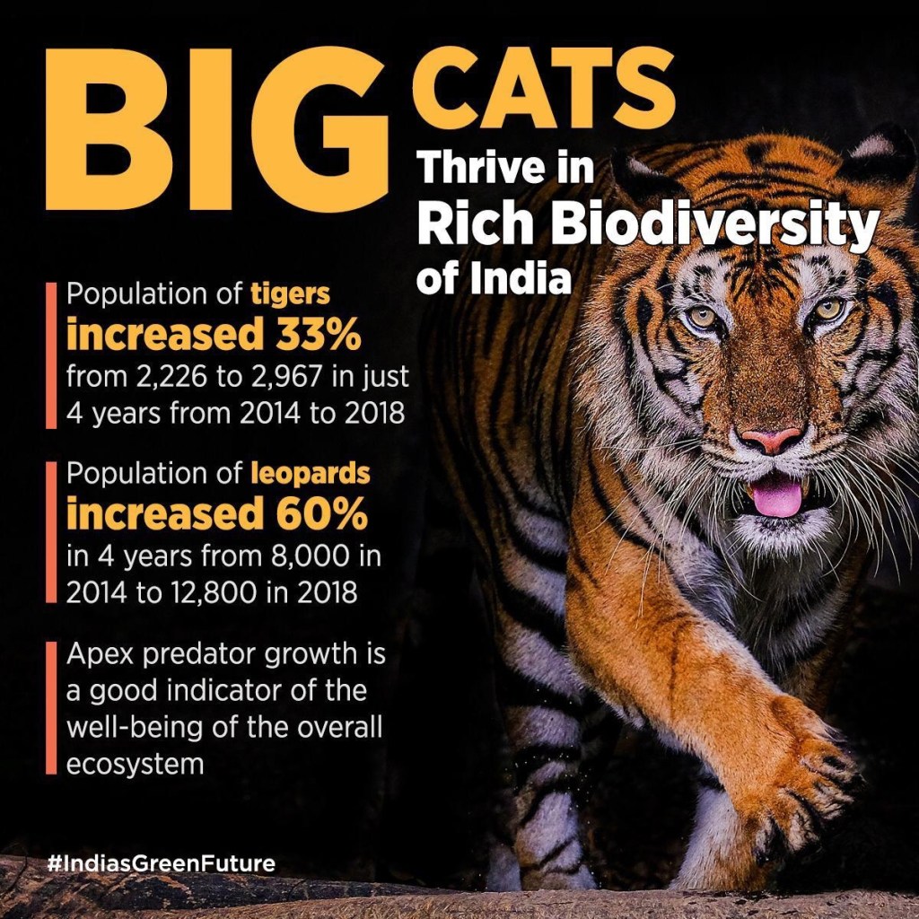 Tigers - Environment 2021
