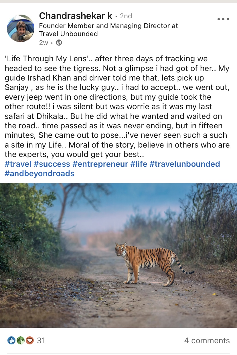 Tiger