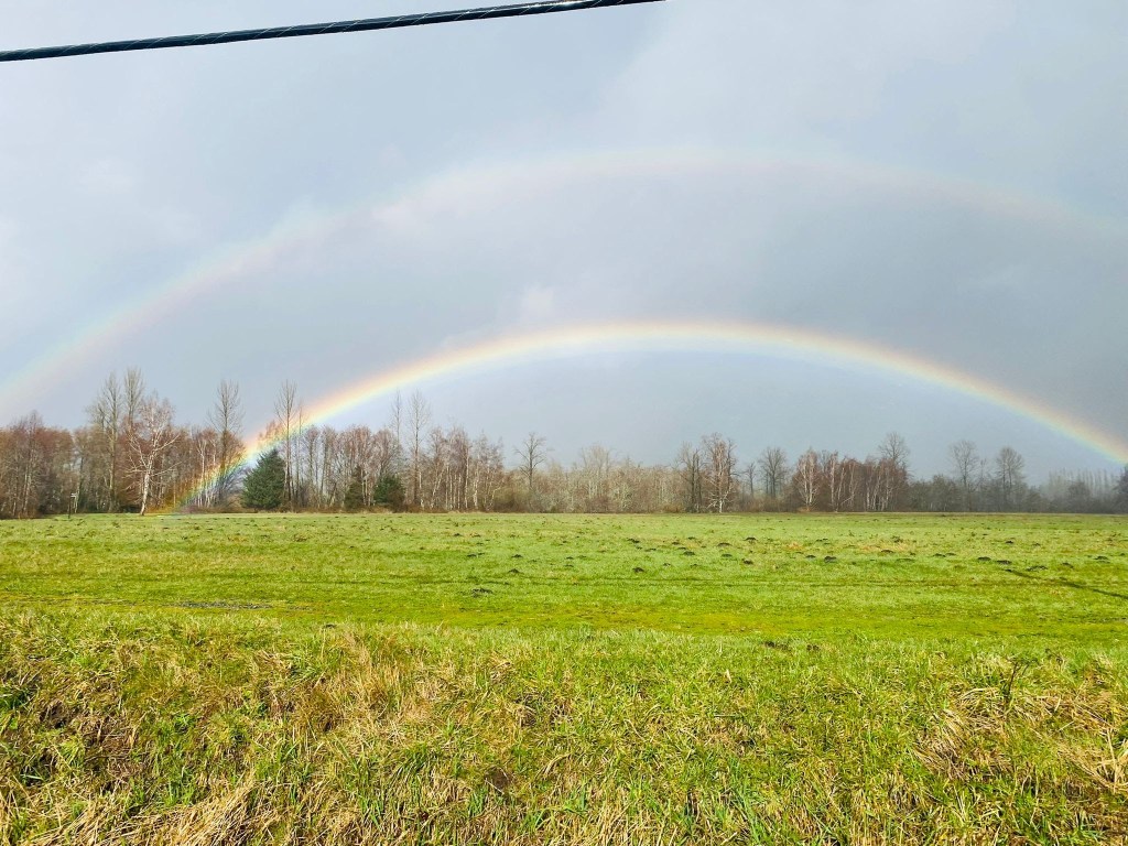 March - Rainbow