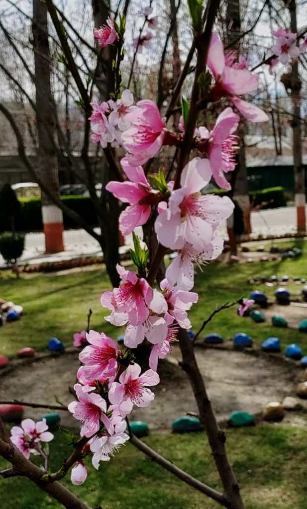March - Kashmir