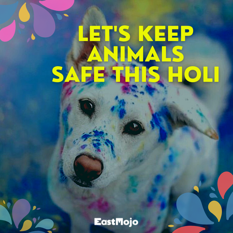 Holi Gyan