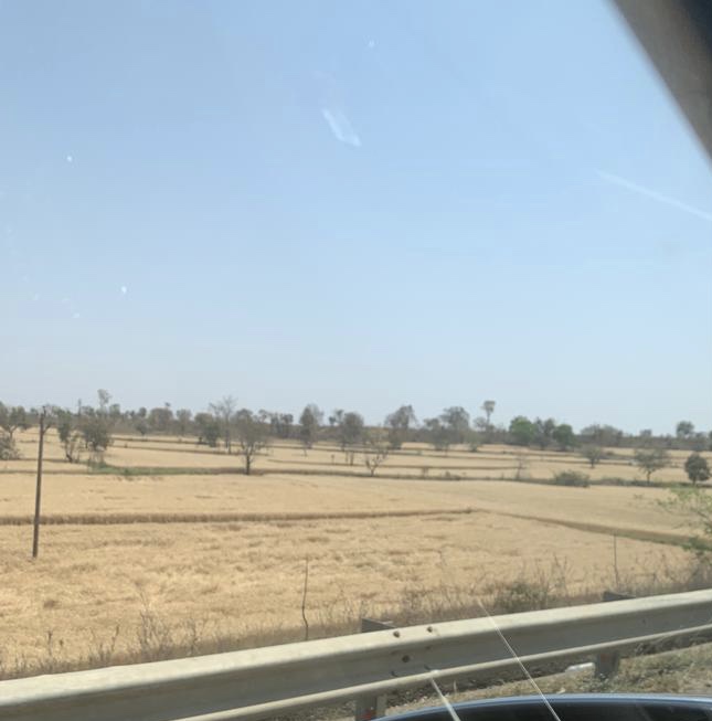 Road trip - Sagar to Nagpur