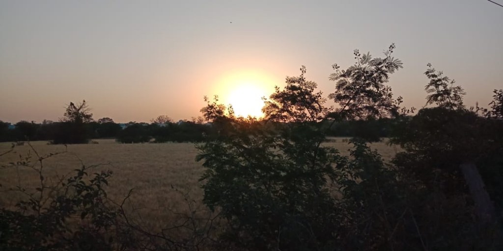 Road trip - Sagar to Nagpur