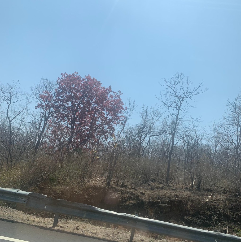Road