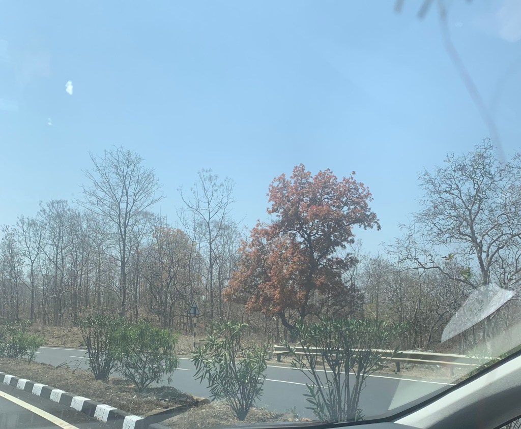Road
