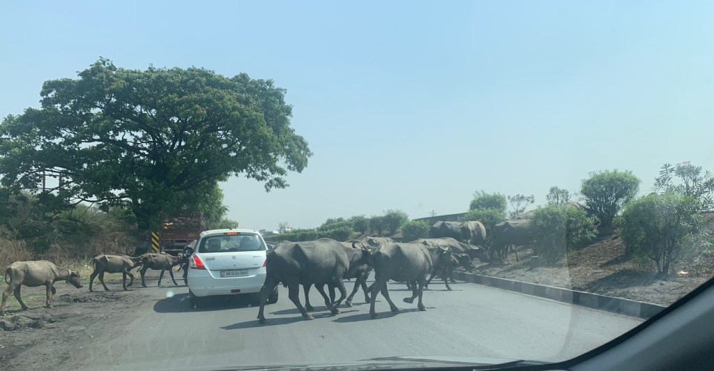 Road trip - Sagar to Nagpur