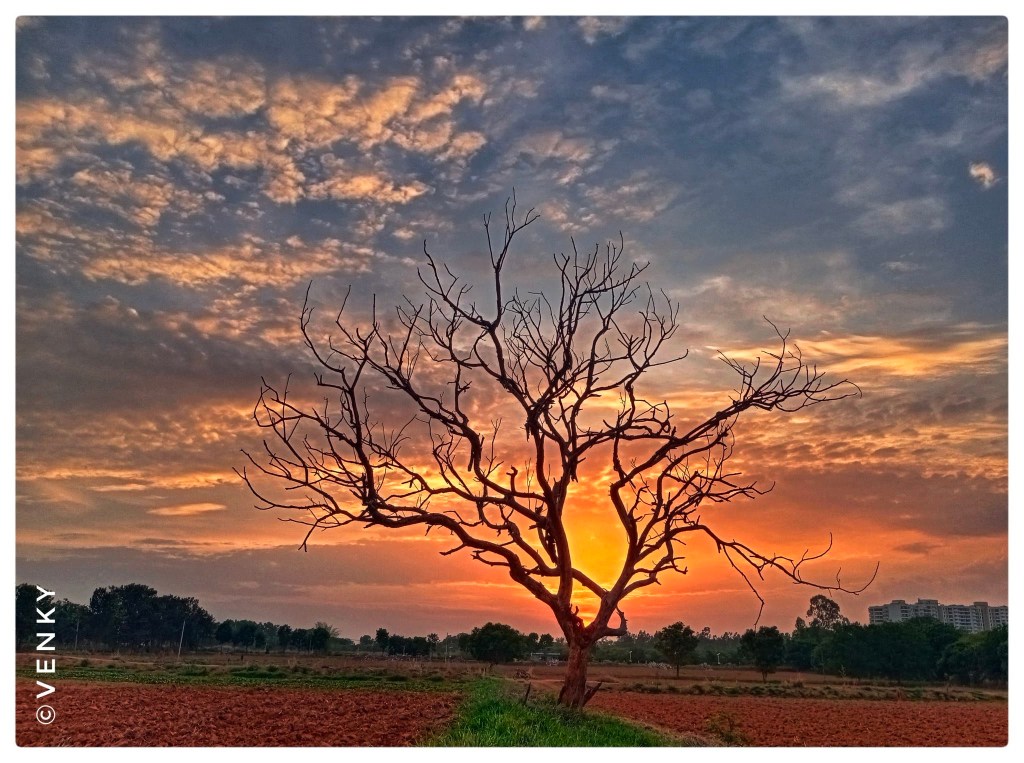Sunset April 2022