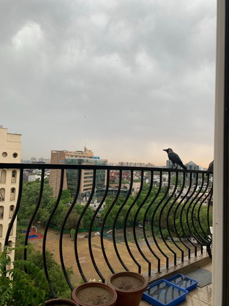 23 deg rains