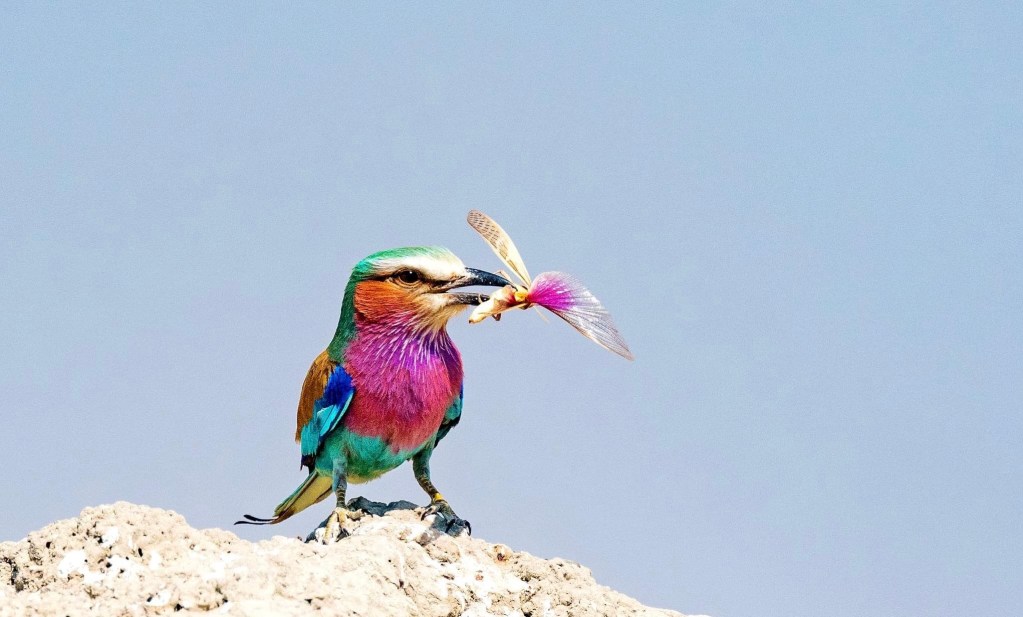 June Stunning Pictures
