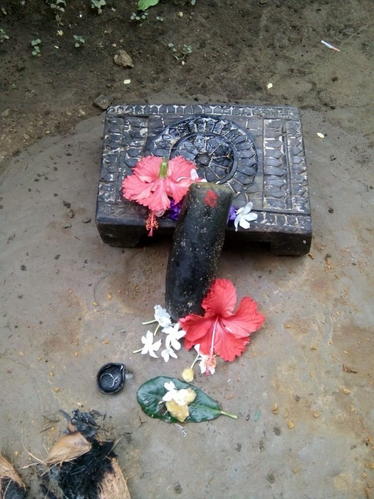 Raja - Festival of Soil