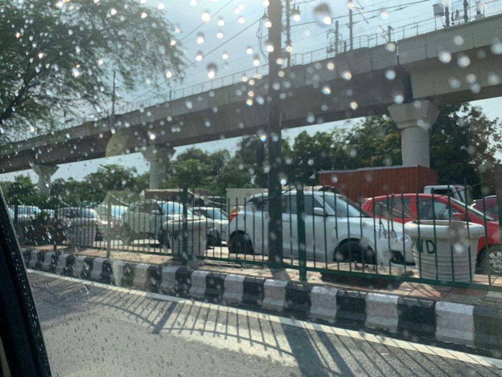 Dilli Rains