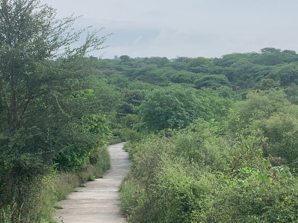 Nature Walk - Biodiversity
