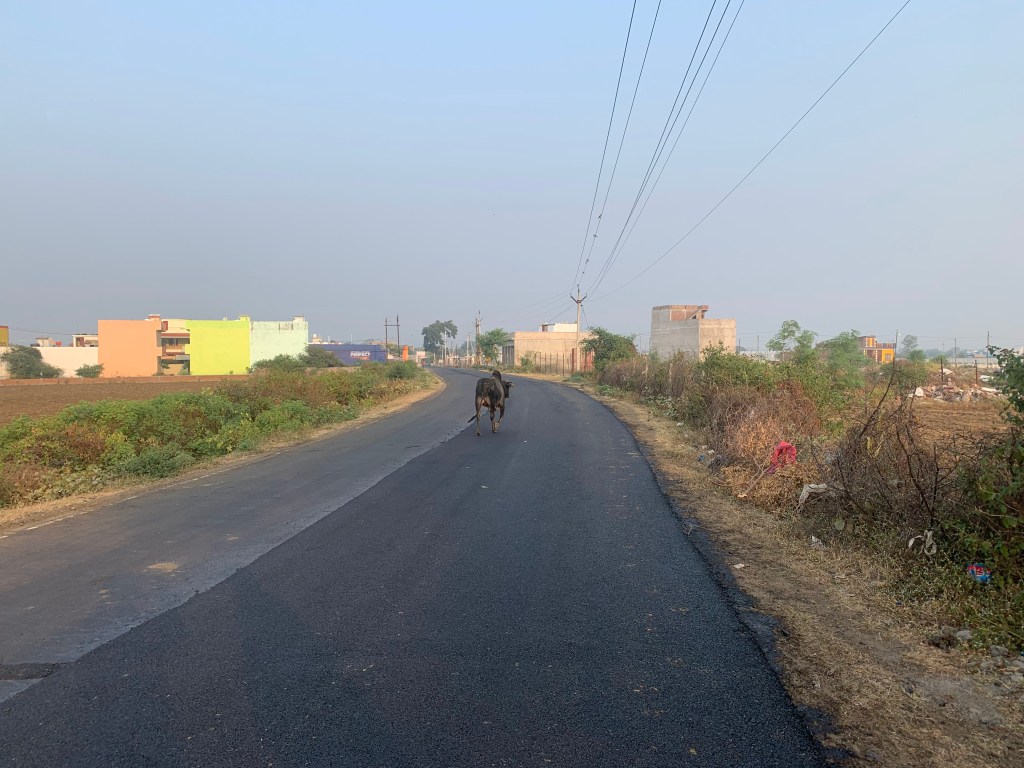 Hotel Deepali
