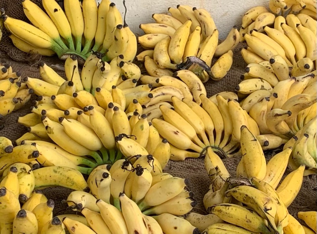 Banana Yellaki
